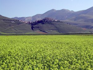 Veduta del paese di Castelluccio